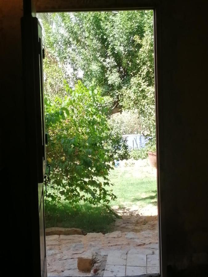Studio In Byoum By Qaroun Lake In Fayoum Qaryat at Ta'mir as Siyahiyah Ngoại thất bức ảnh